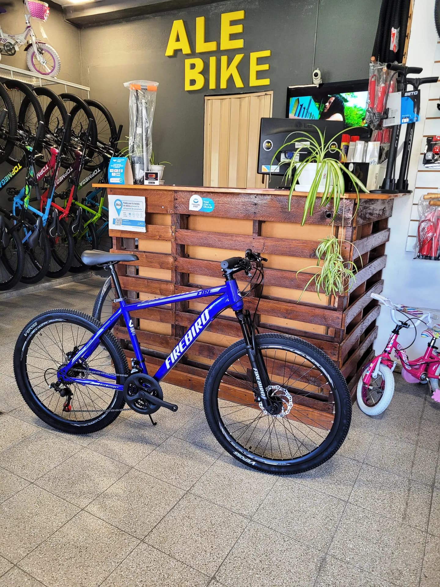 FIRE BIRD R26